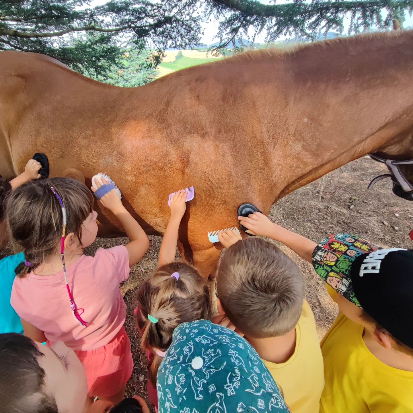 361850754_262748899830781_2407029078069730628_n