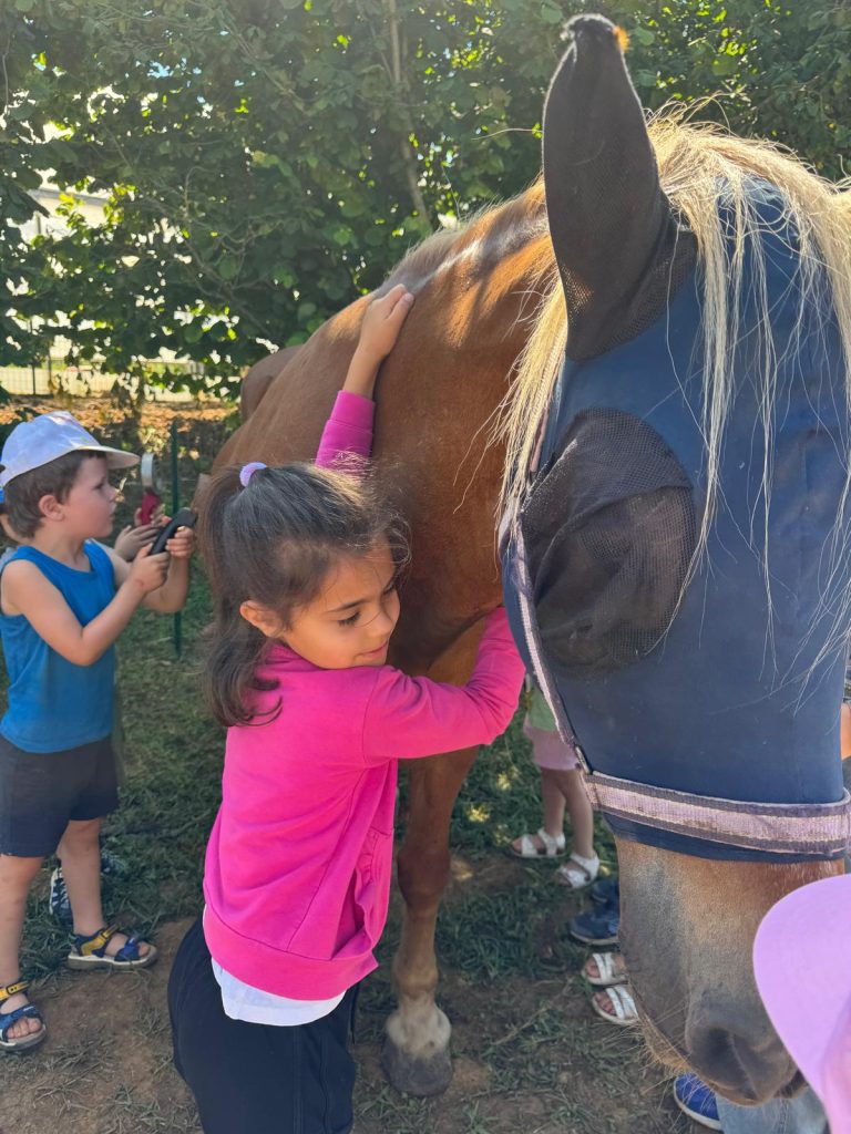 WhatsApp Image 2024-09-23 at 14.11.16 (2)