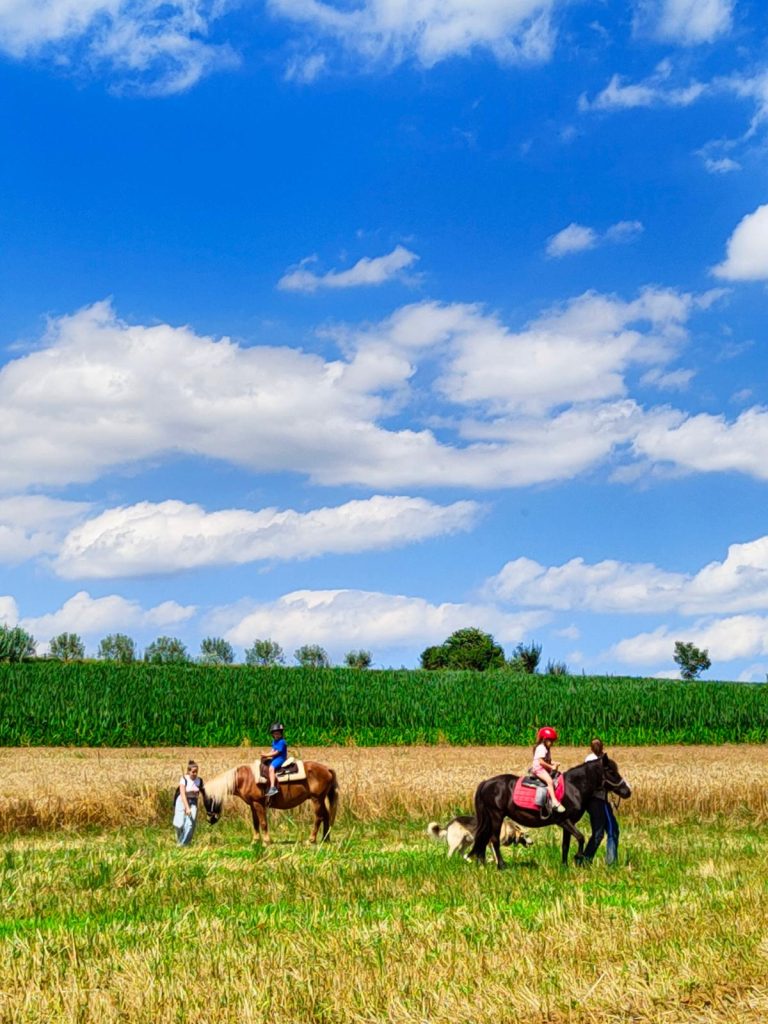 WhatsApp Image 2024-09-23 at 14.11.16 (4)