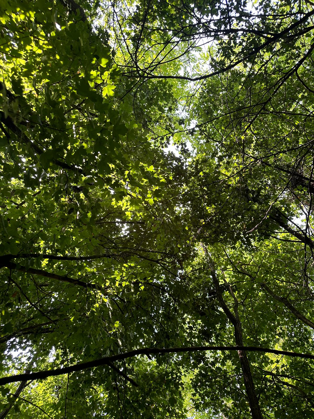 WhatsApp Image 2024-09-23 at 14.11.17 (6)