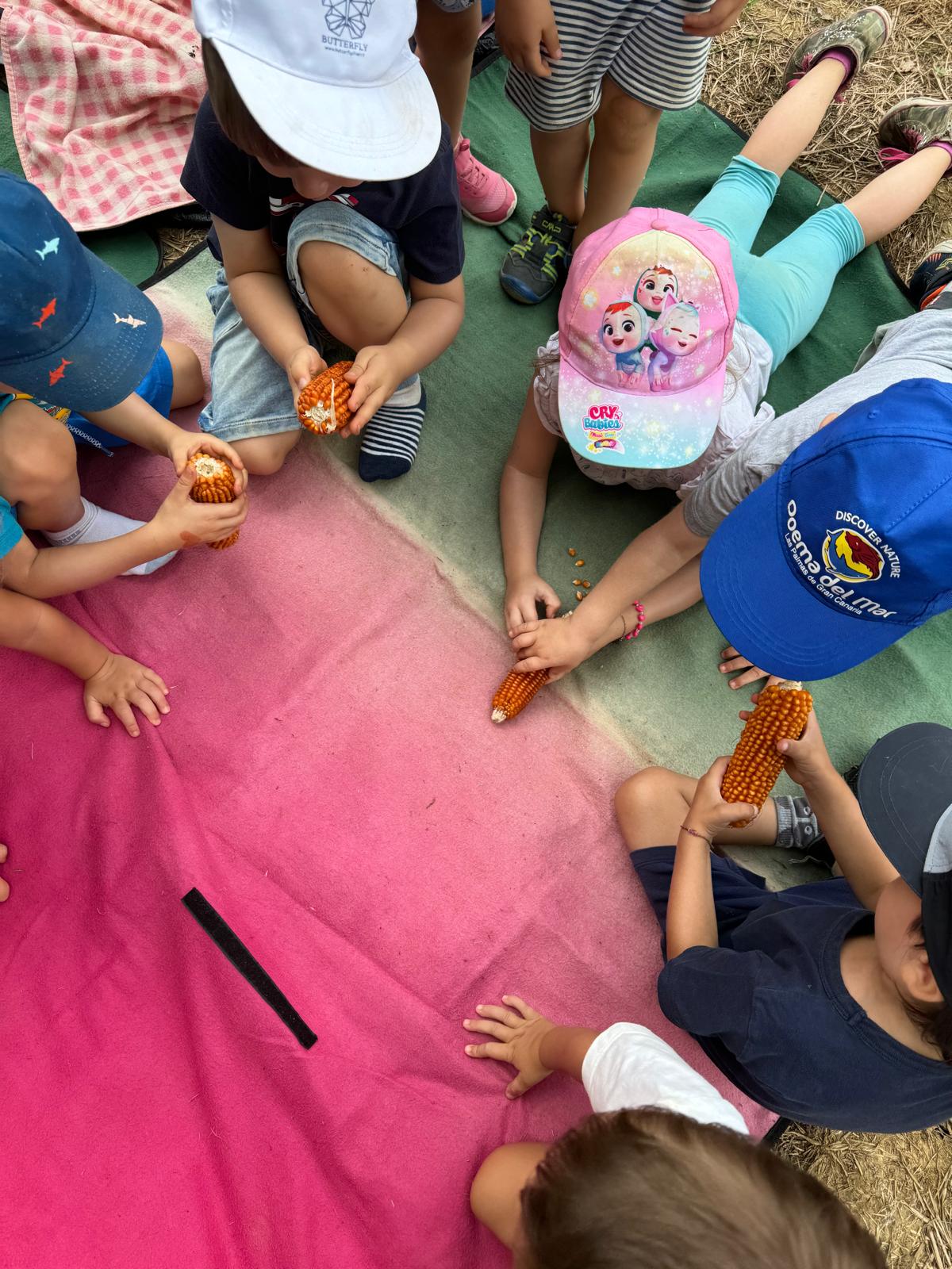 WhatsApp Image 2024-09-23 at 14.12.15 (4)