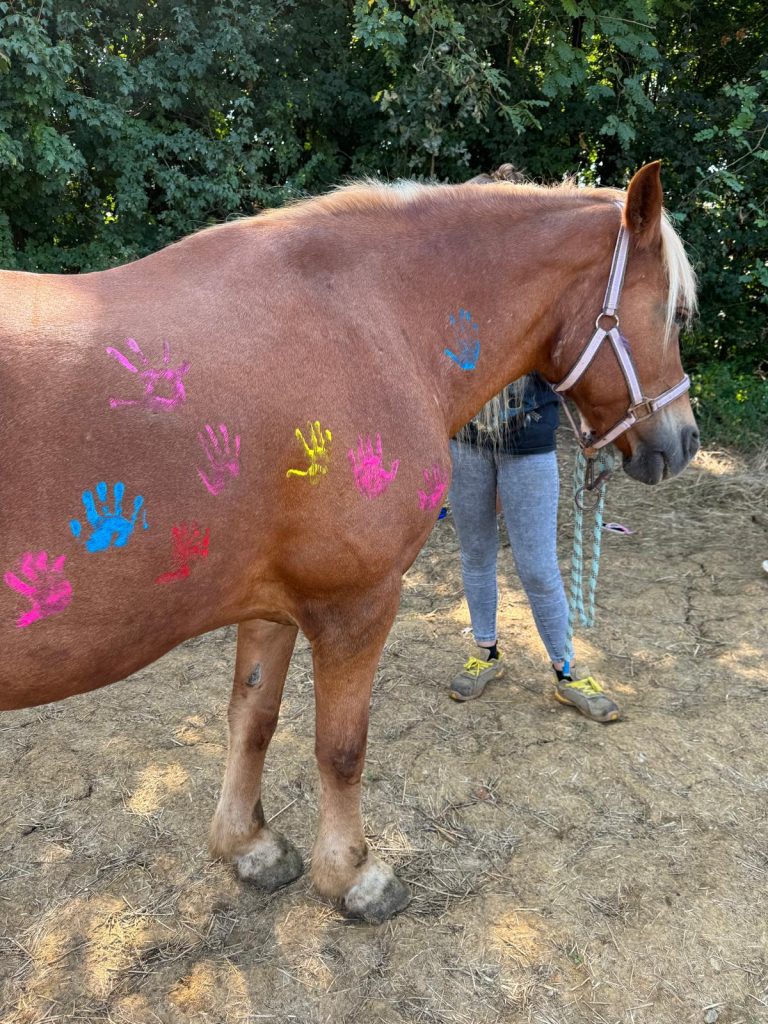 WhatsApp Image 2024-09-23 at 14.12.15 (7)