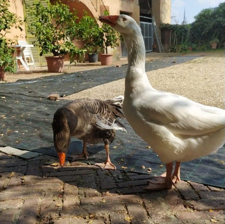 WhatsApp Image 2024-09-23 at 15.03.09 (1)